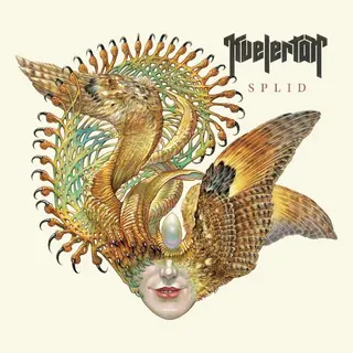 Cover of Splid