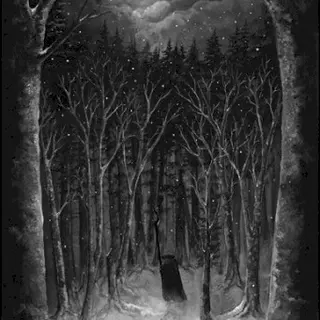 Cover of Im Wald