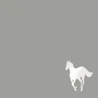 Cover of White Pony