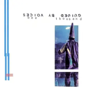 Cover of Bee Thousand