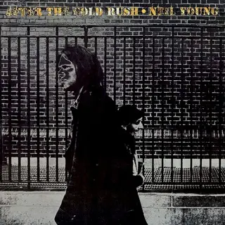 Cover of After the Gold Rush