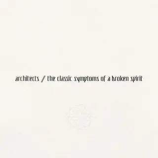 Cover of the classic symptoms of a broken spirit