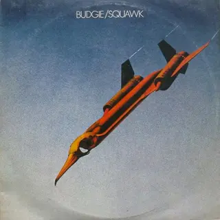 Cover of Squawk