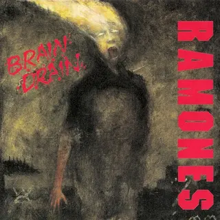 Cover of Brain Drain
