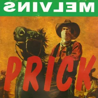 Cover of Prick