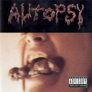 Cover of Shitfun