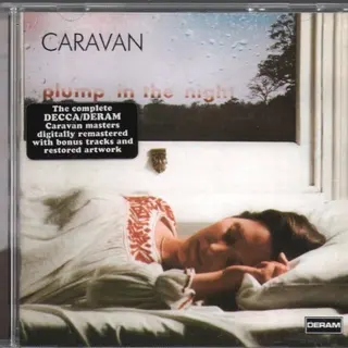 Cover of For Girls Who Grow Plump in the Night
