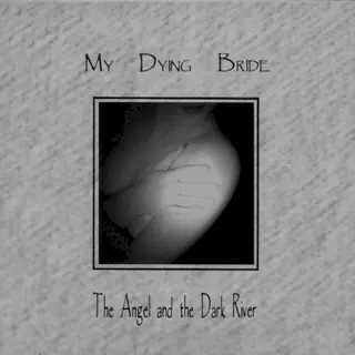 Cover of The Angel and the Dark River