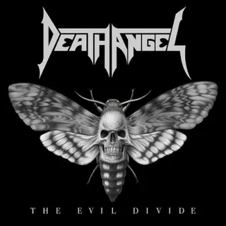 Cover of The Evil Divide