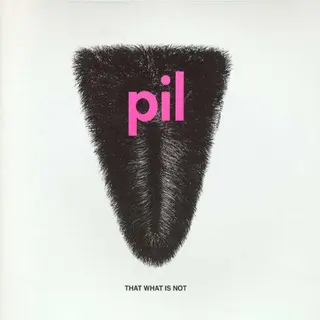Cover of That What Is Not