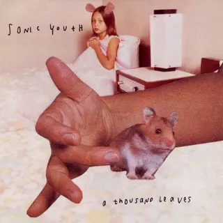Cover of A Thousand Leaves