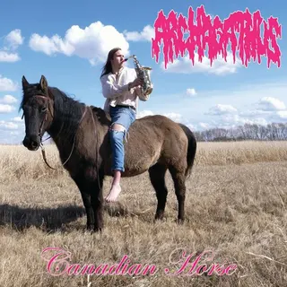 Cover of Canadian Horse
