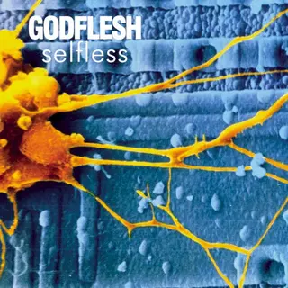 Cover of Selfless