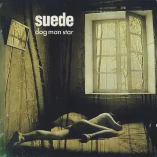 Cover of Dog Man Star