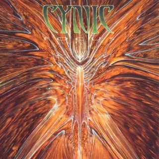 Cover of Focus