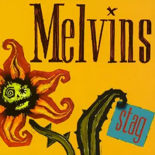 Cover of Stag