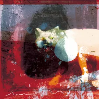 Cover of As the Love Continues