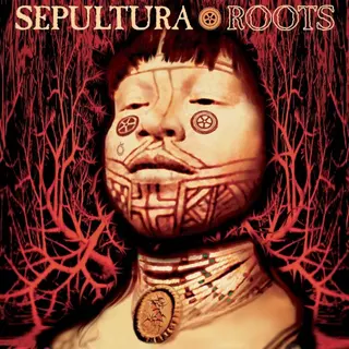 Cover of Roots