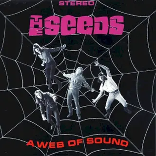 Cover of A Web of Sound