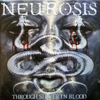 Cover of Through Silver in Blood