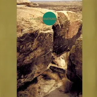 Cover of Hyderomastgroningem