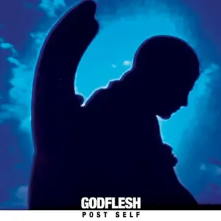 Cover of Post Self